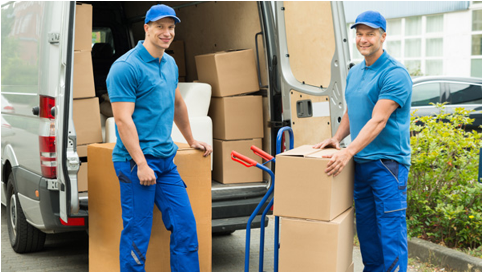  best Calgary movers 