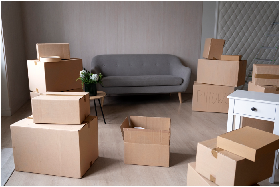  best movers Edmonton